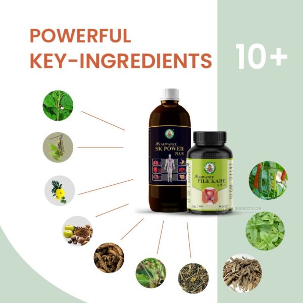 Ayur Brahma Wellness Advance Piles Kare X Plus 60 Capsules & Stomach Kare Power Plus - Image 3