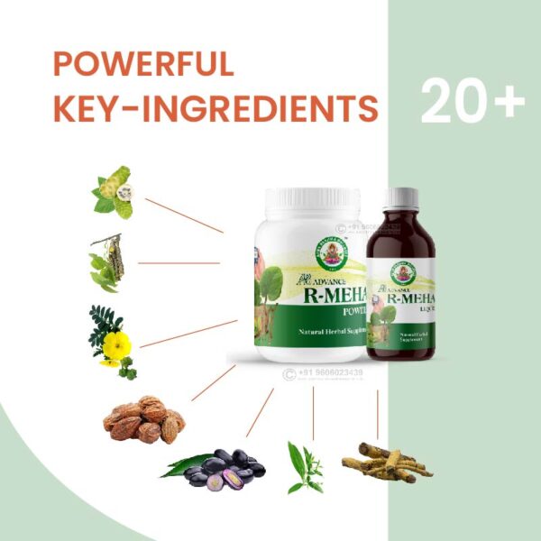Ayur Brahma Advance R Meha Powder & Liquid Combo - Image 3